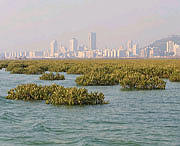 防城港城市风光