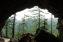 火山口国家森林公园