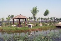 汾河湿地公园景区图片
