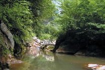 龙门洞森林公园景区图片