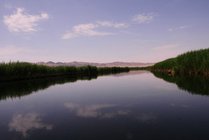 新疆库尔勒莲花湖旅游区景区图片