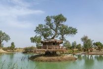 罗布人村寨景区图片