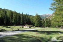哈密天山国家森林公园寒气沟景区景区图片