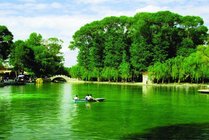 龙泉公园景区图片